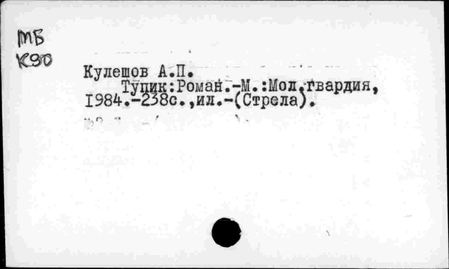 ﻿Кулешов А.П.
Тупик:Роман.-М. :Мол.гвардия 1984.-238с.,ил.-(Стрела).